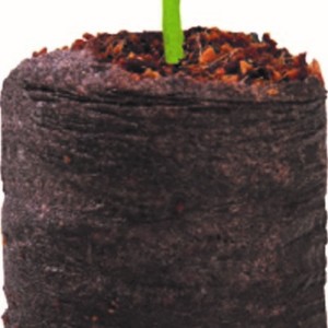 Coir Growing Pellets